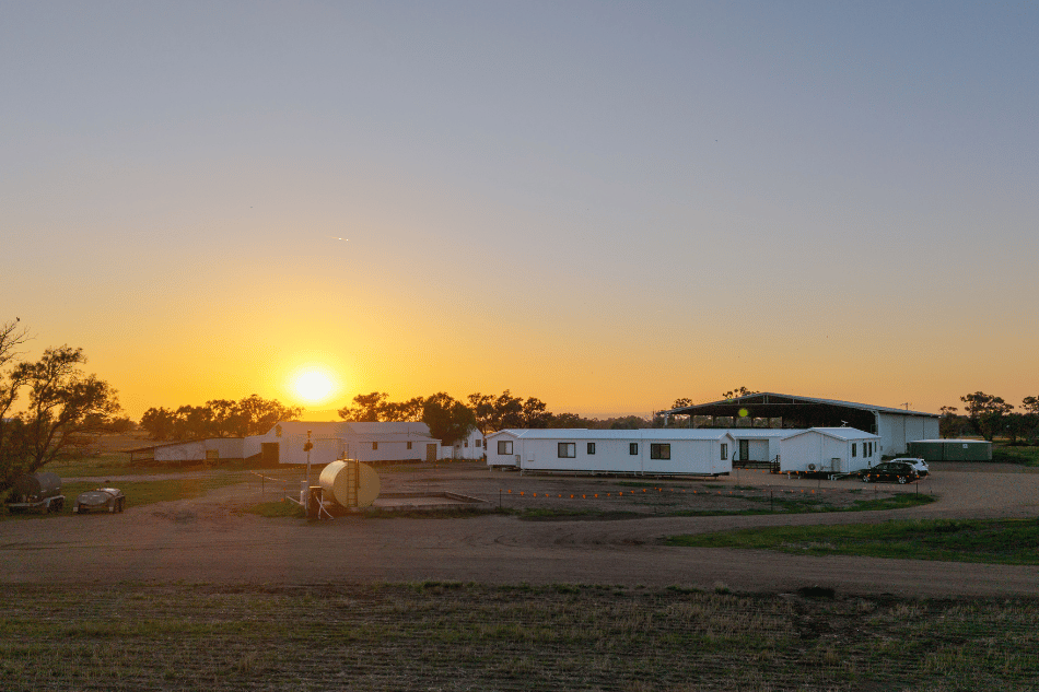 Modern worker housing units on a working Australian farm, positioned near sheds, silos, fencing and farm tracks as part of the property infrastructure.